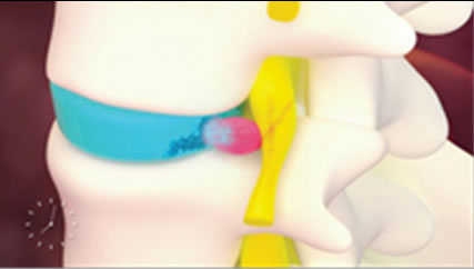 Gallery Item 1