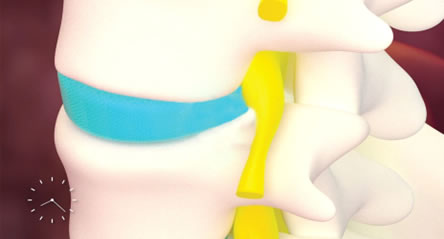 Gallery Item 1